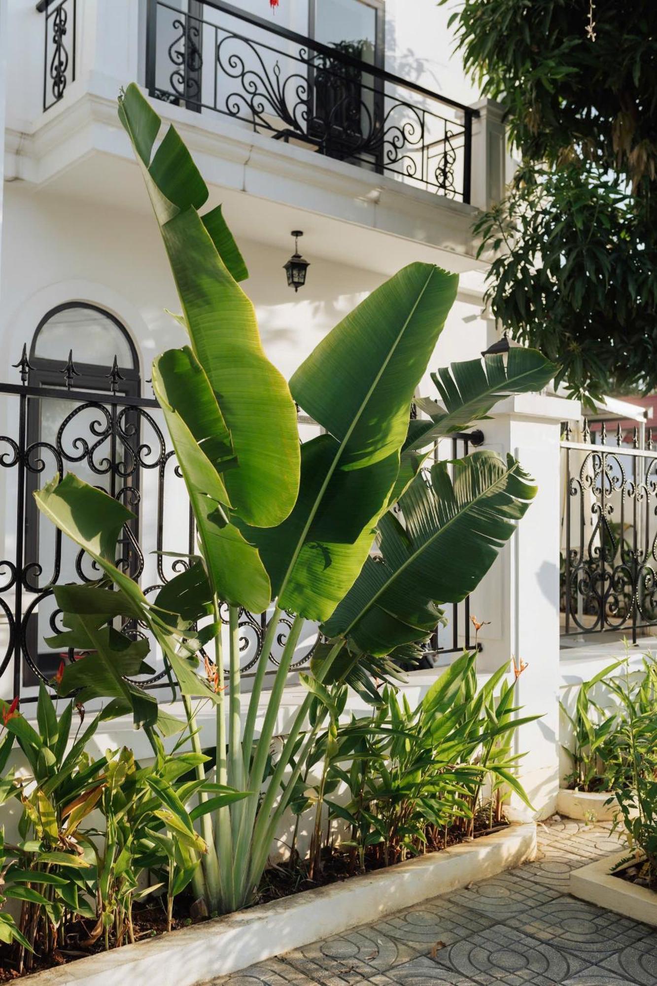 Tam Coc Sana Villa & Homestays Ninh Binh Exterior photo